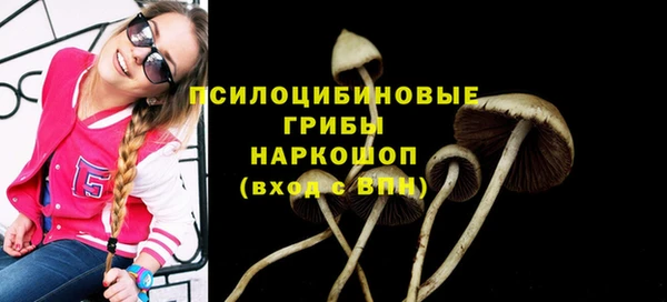соль ск Бородино