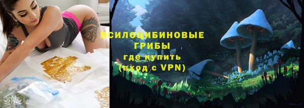 соль ск Бородино